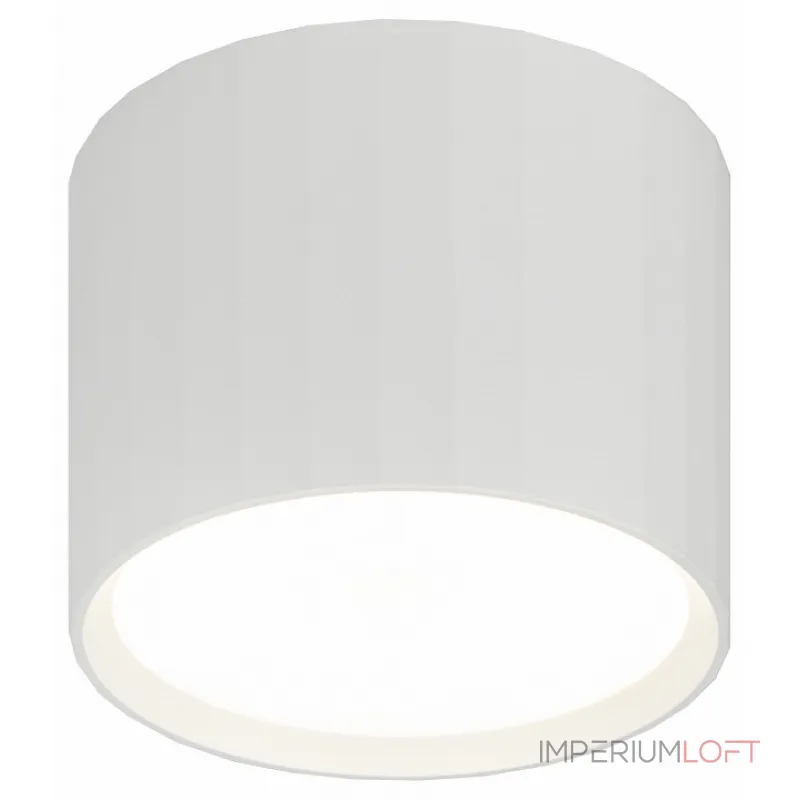Накладной светильник Эра OL39 WH Б0056389 от ImperiumLoft