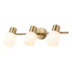 Настенно-потолочный спот TR3972/3 BS/FR латунь/белый матовый E27*3 max 40W 460*80*140 от NovaLamp