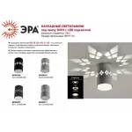 Накладной светильник Эра OL10 Б0050269 от ImperiumLoft