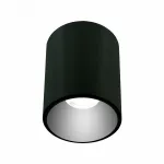 Накладной светильник LIGHTERA Shamrock LE201CL-1BB от ImperiumLoft