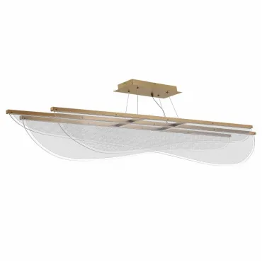 Подвесная люстра ST-Luce Fesale SL6509.223.01