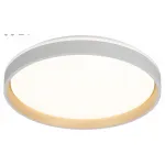 Накладной светильник Citilux ENZO CL753450G от ImperiumLoft