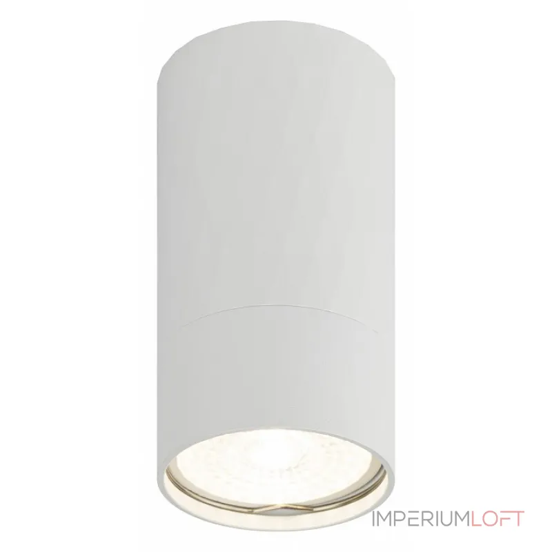 Накладной светильник Эра OL31 WH Б0056375 от ImperiumLoft