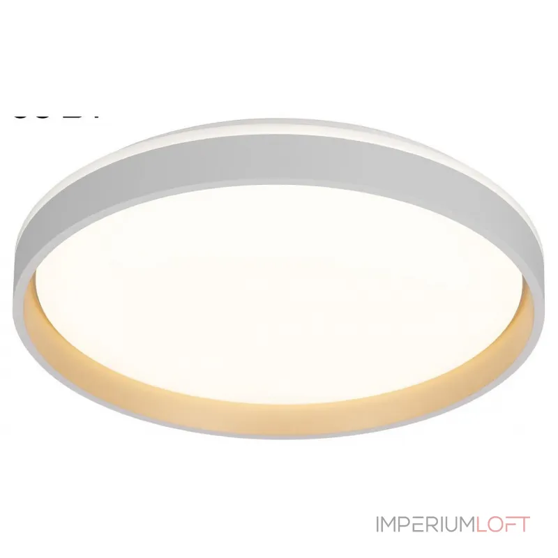 Накладной светильник Citilux ENZO CL753450G от ImperiumLoft