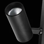 Светильник на штанге Lightstar Teta 205037R от ImperiumLoft