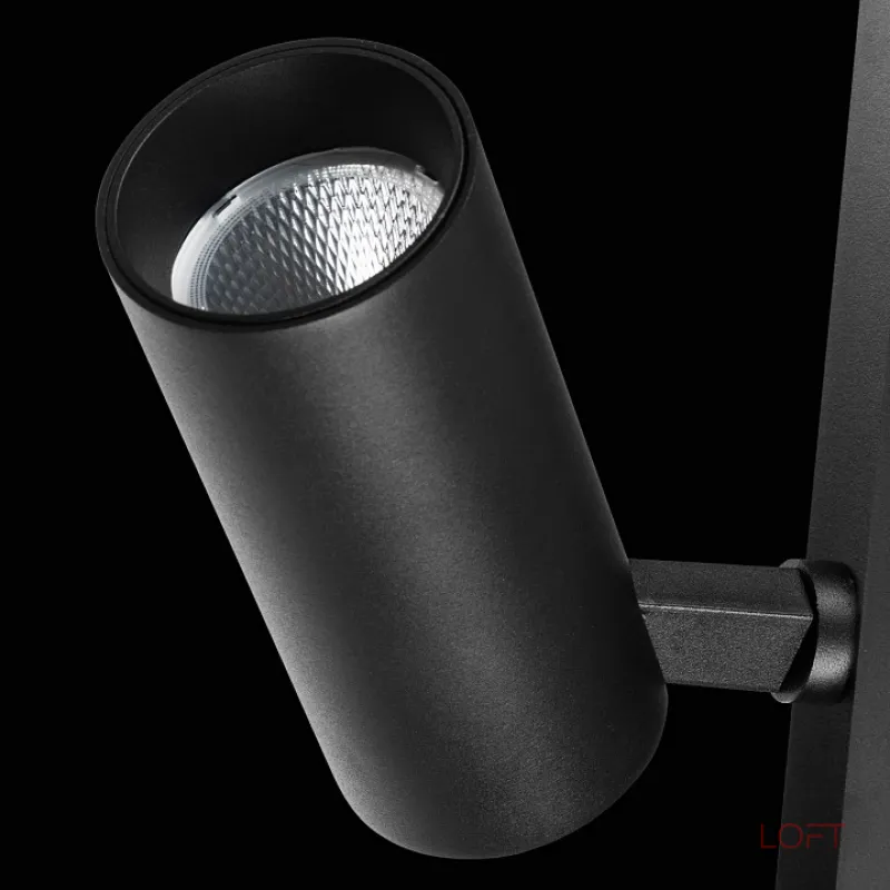 Светильник на штанге Lightstar Teta 205037R от ImperiumLoft