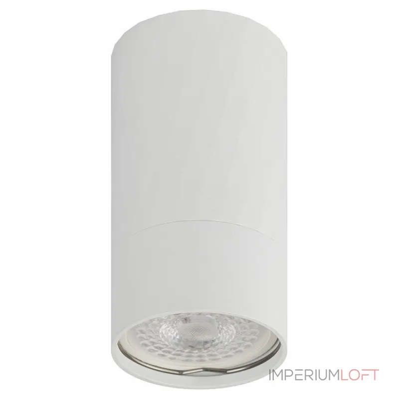 Накладной светильник Эра OL31 WH Б0056375 от ImperiumLoft