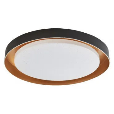 Потолочный светильник Arti Lampadari Vista Vista L 1.13.48 B Потолочный светильник Arti Lampadari Vista Vista L 1.13.48 B