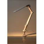 Настольная лампа офисная Эра NLED-496 Б0052766 от ImperiumLoft