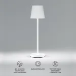 Настольная лампа декоративная Elektrostandard Mist a063928 от ImperiumLoft