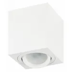 Накладной светильник Эра OL22 WH Б0054394 от ImperiumLoft