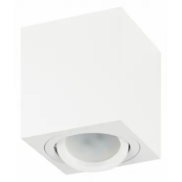 Потолочный светильник Эра OL22 WH Б0054394 Потолочный светильник Эра OL22 WH Б0054394