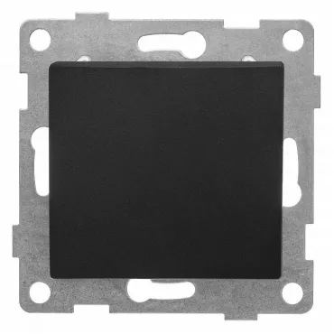 Выключатель двухполюсной самовозвратный без рамки Gusi Electric BRAVO С10В6-010 Выключатель двухполюсной самовозвратный без рамки Gusi Electric BRAVO С10В6-010