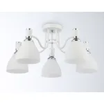 Светильник потолочный TR303305/5 WH/CH/FR белый/хром/белый матовый E27*5 max 60W D600*270 от NovaLamp