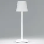 Настольная лампа декоративная Elektrostandard Mist a063928 от ImperiumLoft