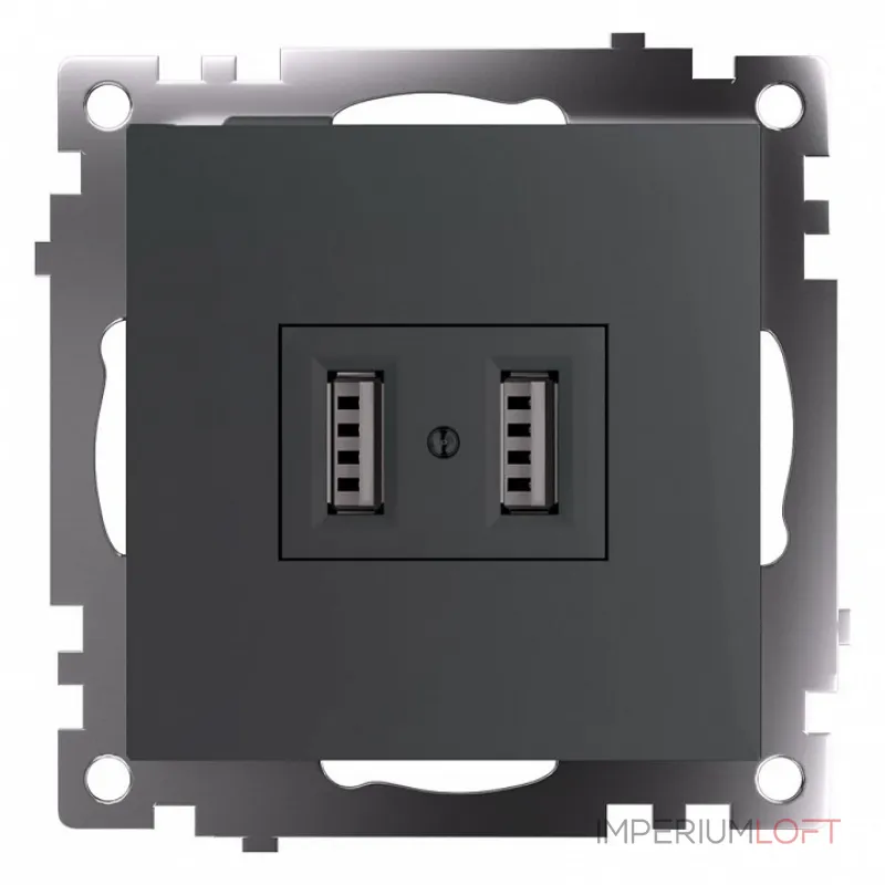 Розетка USB без рамки Stekker Катрин 49422 от ImperiumLoft