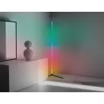 Светильник светодиодный напольный RGB с пультом FL8022 BK черный LED 15W RGB D32*1250 (ПДУ РАДИО 2.4G) от NovaLamp