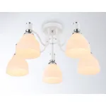 Светильник потолочный TR303305/5 WH/CH/FR белый/хром/белый матовый E27*5 max 60W D600*270 от NovaLamp