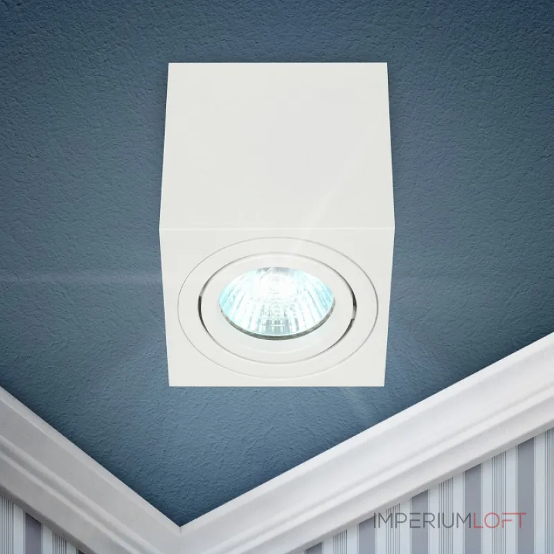 Накладной светильник Эра OL22 WH Б0054394 от ImperiumLoft