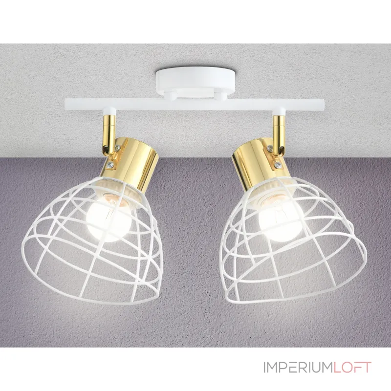 Настенно-потолочный спот в стиле лофт TR8601/2 WH/GD белый/золото E27*2 max 40W 260*154*230 от NovaLamp Настенно-потолочный спот в стиле лофт TR8601/2 WH/GD белый/золото E27*2 max 40W 260*154*230 от NovaLamp
