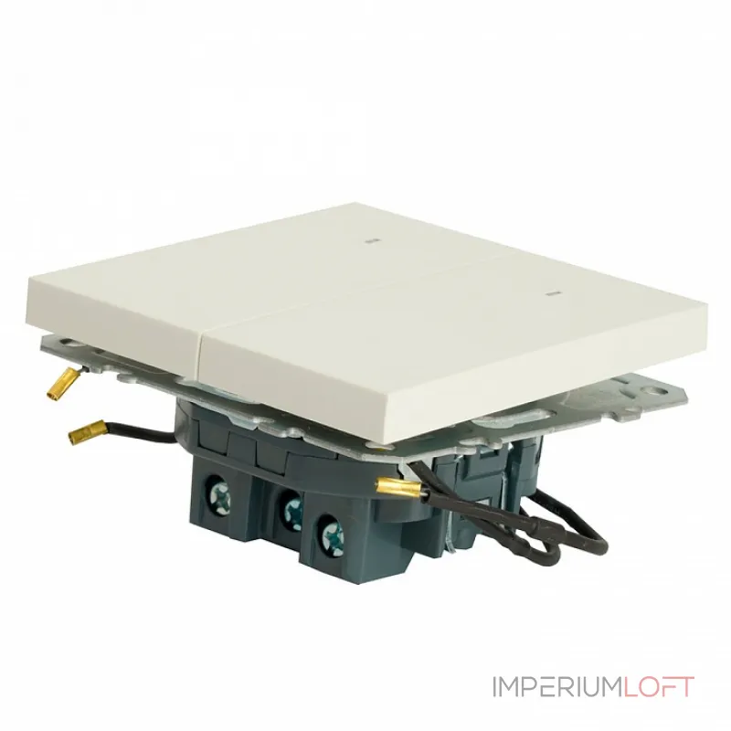 Выключатель двухклавишный с подсветкой без рамки Stekker RSW10-5102-01 49864 от ImperiumLoft Выключатель двухклавишный с подсветкой без рамки Stekker RSW10-5102-01 49864 от ImperiumLoft