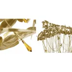 Подвесная люстра Mcqueen Grande