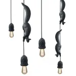 Подвесной светильник Белка karman Sherwood e robin SE151 BB INT-black