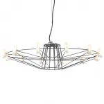 Подвесная люстра Heracleum silver 50