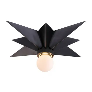 Потолочный светильник Star Ceiling Mount  black
