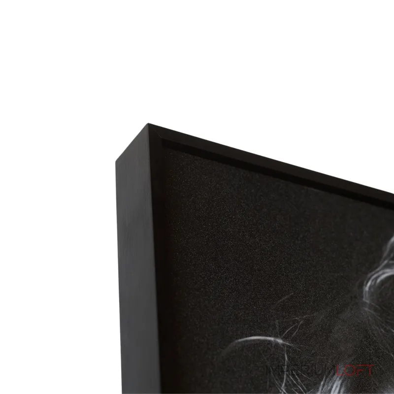 Декоративная картина FP Blondie Lumina Deco 50-70 от ImperiumLoft