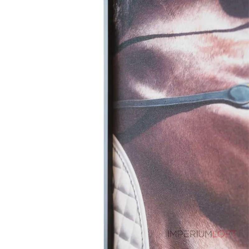 Декоративная картина FP Horse Lumina Deco 50-70 от ImperiumLoft