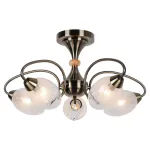 Потолочная люстра Lussole LGO LSP-8073