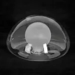 Люстра на штанге Lussole LSP-8822