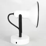 Спотовый светильник Lussole LSP-8801 от ImperiumLoft