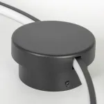 Потолочная люстра Lussole LSP-7110