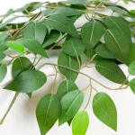 Настольная лампа Lussole IDAHO LSP-0682 от ImperiumLoft