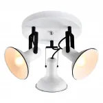 Спотовый светильник Lussole LSP-8803 от ImperiumLoft