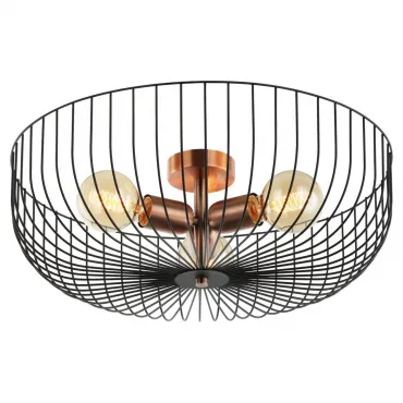 Потолочный светильник Lussole Brooks GRLSP-8250 Потолочный светильник Lussole Brooks GRLSP-8250