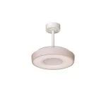 Потолочная люстра-вентилятор Mantra COIN FAN MINI SMART 9638 от ImperiumLoft