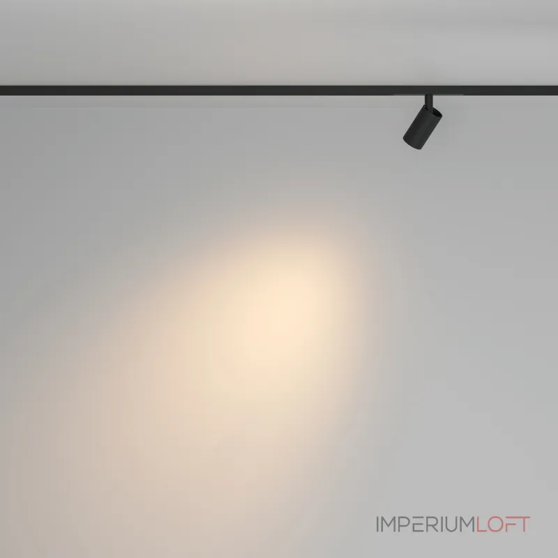 Трековый светильник Maytoni BASITY TR176-1-5WTW-M-B от ImperiumLoft