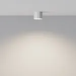 Потолочный светильник Maytoni Ceiling C096CL-GX53-W от ImperiumLoft