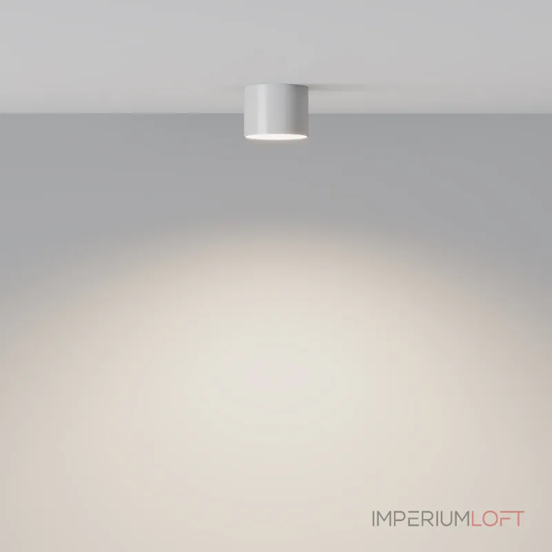 Потолочный светильник Maytoni Ceiling C096CL-GX53-W от ImperiumLoft