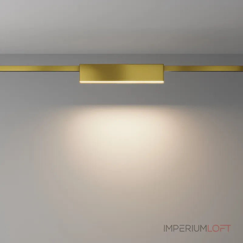 Трековый светильник Maytoni FLARITY TR151-1-12W3K-BS от ImperiumLoft