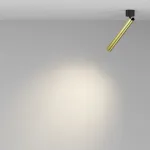 Потолочный светильник Maytoni Ceiling C141CL-L300-6W3K-BBS от ImperiumLoft