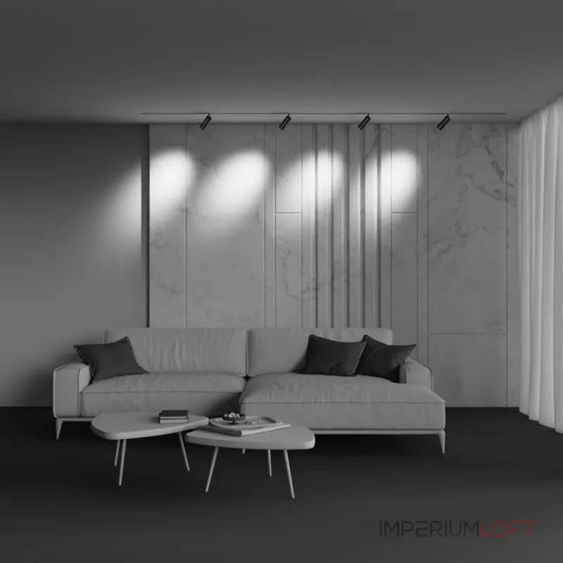 Трековый светильник Maytoni EXILITY TR212-1-12WTW-DS-Z-B от ImperiumLoft