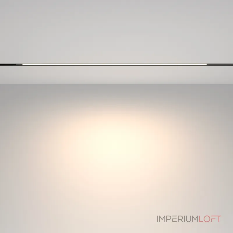 Трековый светильник Maytoni EXILITY Basis TR231-2-15W4K-B от ImperiumLoft