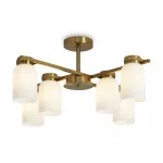 Потолочная люстра Freya Modern FR5446PL-06BS