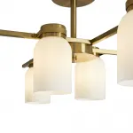 Потолочная люстра Freya Modern FR5446PL-06BS