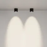 Потолочный светильник Maytoni Ceiling C217CL-15W4K-B от ImperiumLoft