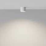 Потолочный светильник Maytoni Ceiling C096L-GX53-WBS от ImperiumLoft